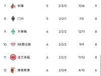 九游娱乐官方网站-弗赖堡战平对手，稳定积分榜排名的简单介绍