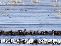 九游娱乐官方平台-包含主场作战压力山大，球队心理素质面临考验的词条